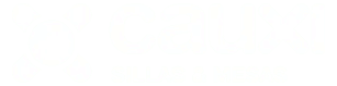 Logotipo de Cauxi Muebles
